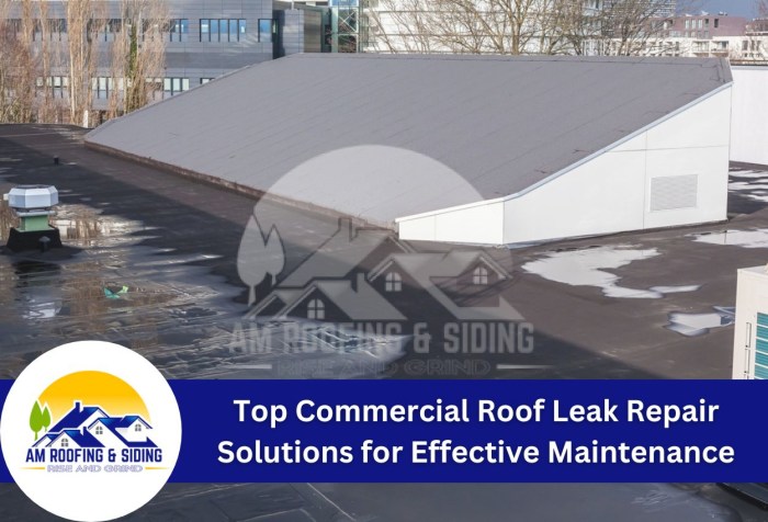 Understanding Metal Roof Leaks: A Comprehensive Guide