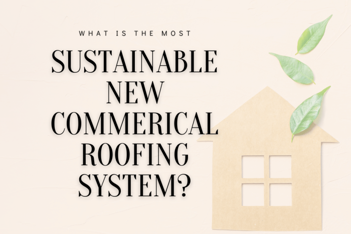 What Is The Most Sustainable New Commercial Roofing System?