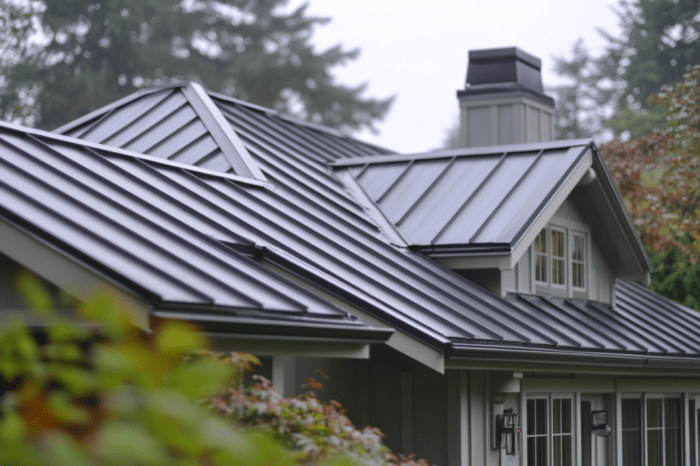 Comparing Metal Roofing Systems: Best Options for Alexandria