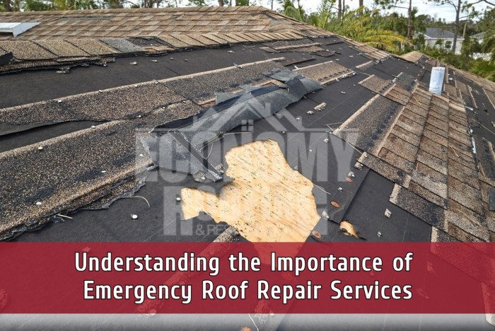 Emergency Roof Repair Services | HolyMess Repairs